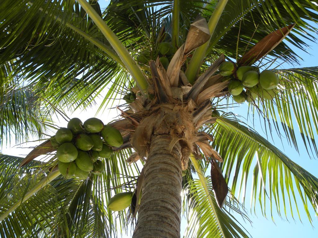 Rock Reef Resort Key Largo Luaran gambar