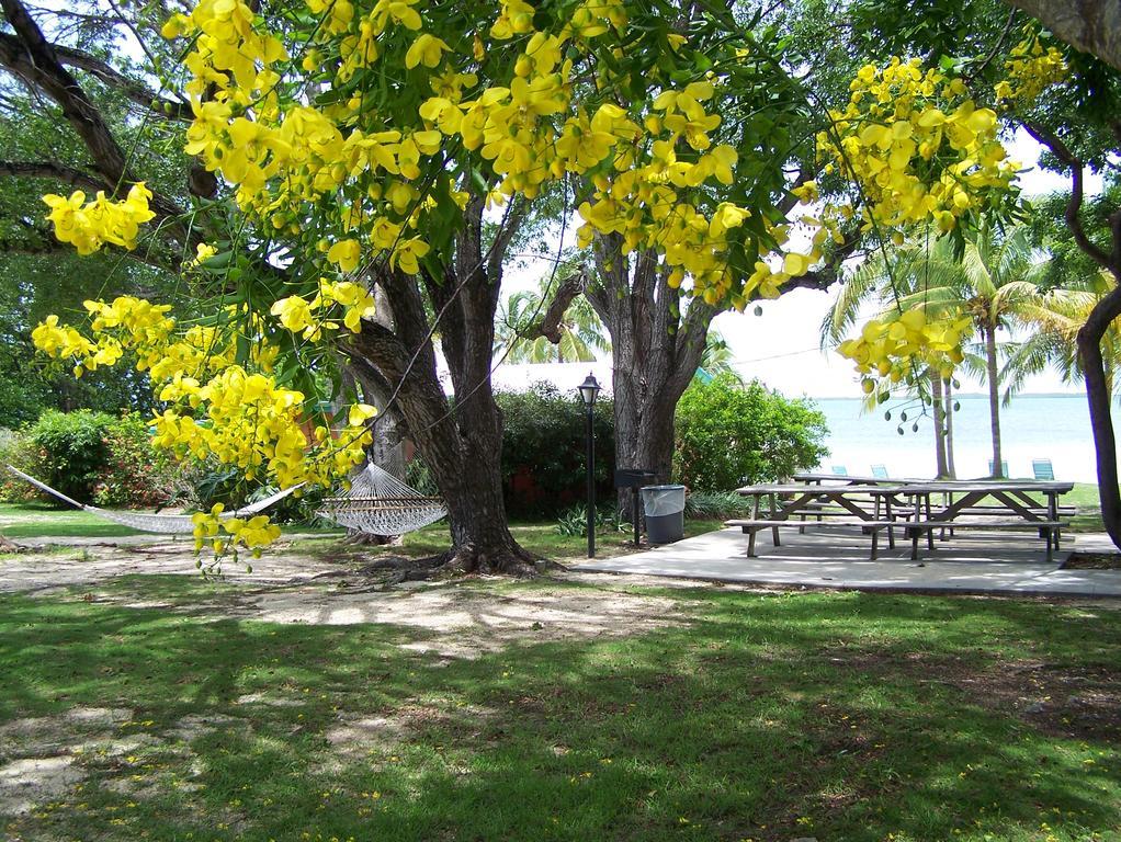 Rock Reef Resort Key Largo Luaran gambar
